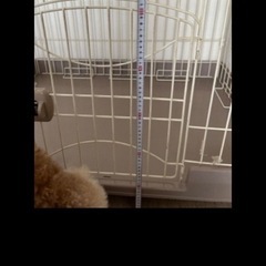 ペットフェンス ペットサークル  犬ケージ コンパクト 犬用サークルの画像