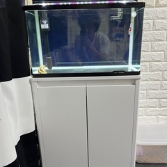 【超美品】60cm水槽フルセット
