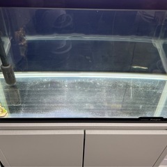 【超美品】60cm水槽フルセットの画像