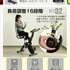 フィットネスパイクの画像