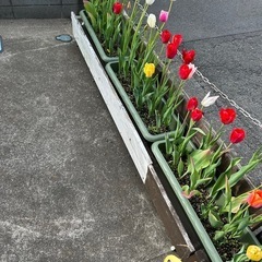 巨大植木鉢、ハンドメイド、キャスター付き