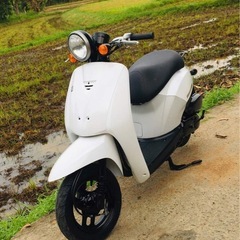 ホンダトゥデイ(AF61)