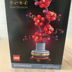 LEGO 新品　ボタニカルデザイン