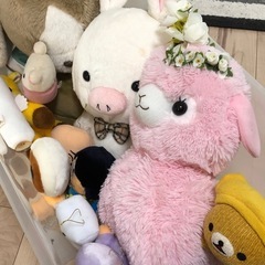 ぬいぐるみ  たくさん