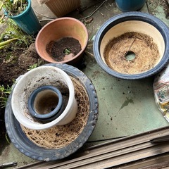 植木鉢、サイズ色々有ります