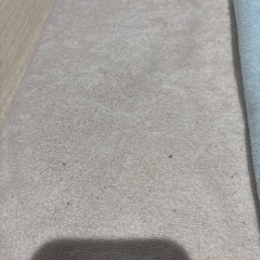 おねしょシーツの画像