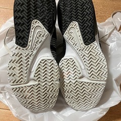 バッシュ　レブロン　26.0の画像