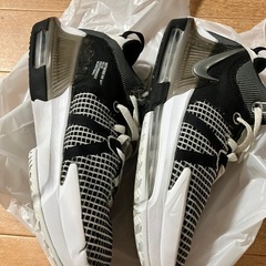 バッシュ　レブロン　26.0の画像