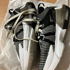 バッシュ　レブロン　26.0の画像