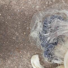 投網　5個　鮎　約6.5キロ　チェーンおもり　1個3500円の画像