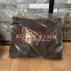 BLACKPINK WORLD TOUR BORN PINK プレミアムシート特典 クッションの画像