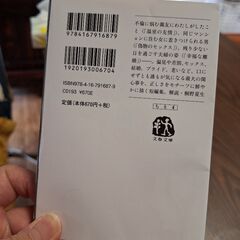 千早茜　正しい女たちの画像