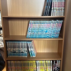 　　本棚　 文庫本ラックの画像
