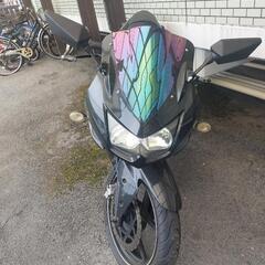 ninja 250r
