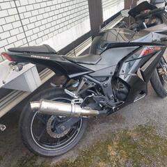 ninja 250rの画像
