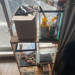 メダカなどの飼育セット