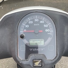 ホンダ　タクト　AF79リサイクルショップ宮崎屋　佐土原店　25.5.26Fの画像