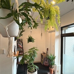 【大宮駅西口】土曜日10:30〜朝ヨガstart｜6/14(土)6/21(土)6/28(土)スローフロークラス🌿🧘🏼の画像