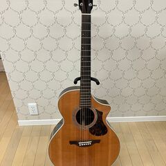 HISTORY NT-C3 ヒストリー アコースティックギター ...