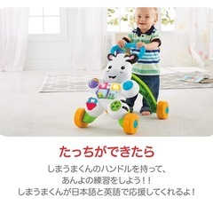 フィッシャープライス しまうまくんのバイリンガル　・ウォーカーの画像