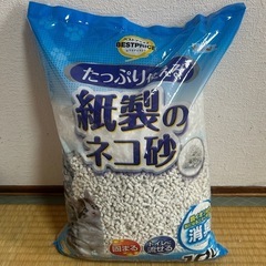 ネコ砂