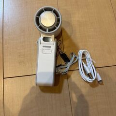 🍃【新品未使用】冷却プレート付きハンディファン 携帯扇風機 羽根...