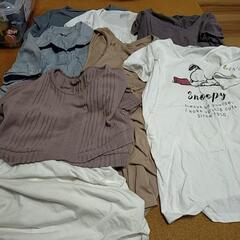 マタニティ夏服Lサイズ