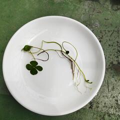 水草セット+α‬