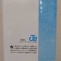 超レア！ワンピース漫画本・非売品の画像