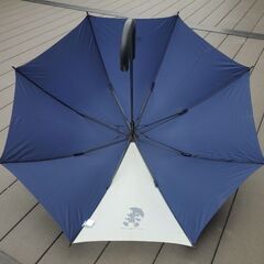 【値引き 美品､非売品？限定デザインかも】ディズニーリゾート傘 ミッキー ロゴ入り  女性向けサイズの画像