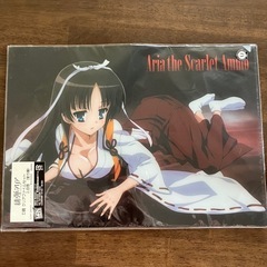 【未開封・非売品】緋弾のアリア クリアファイル 白雪 2枚入 A...