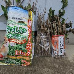 【譲ってください】米袋などの丈夫な空袋