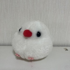 ぬいぐるみ