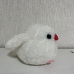 ぬいぐるみの画像