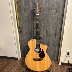 マーチン　エレアコ