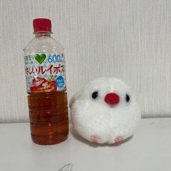 ぬいぐるみの画像