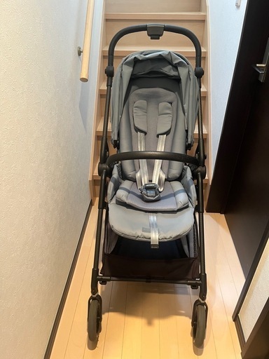 取引中】サイベックス メリオカーボン（2024版）