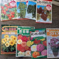 野菜▪花の種