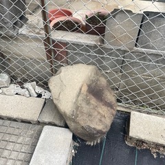 ¥0 大きな石を譲ります！の画像