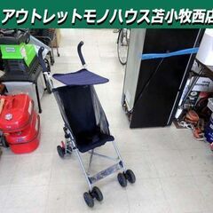 Richell ベビーバギー ファインアール ブルー系 体重目安...