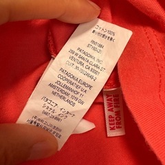 Tシャツ【Patagonia】の画像