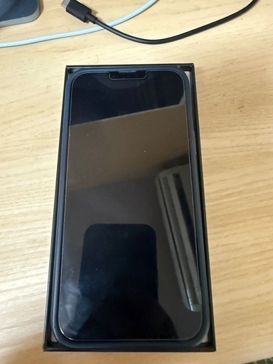 iPhone iphone 13 promax