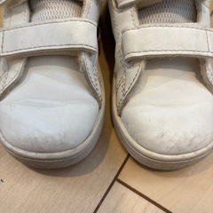 adidas アディダス 14am　子ども スニーカーの画像