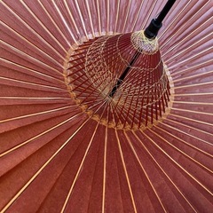 和傘の画像