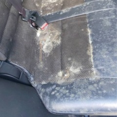 車内のニオイでお困りの方😭シートクリーニングはいかがでしょうか❓　　🚚出張費無料🚚　の画像