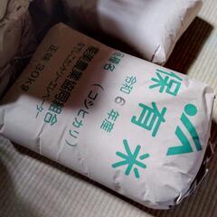 令和6年　限定一俵　石川県産コシヒカリ　30キロ