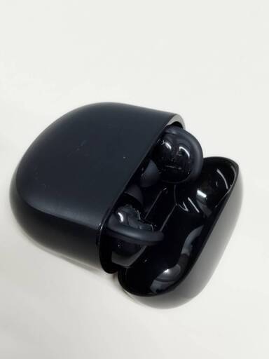 BOSE QuietComfort Ultra Earbuds ワイヤレスイヤホン (441408)