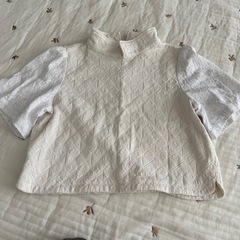 Kastane  半袖 トップス襟付き