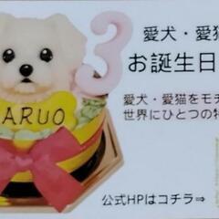 わんわんケーキココまる🎂