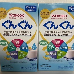 (未開封)ぐんぐんスティック